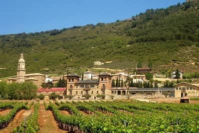 Rioja Vineyards