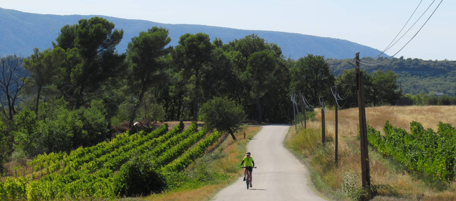 Provence Self Guided Cycling Holiday