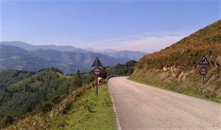 La Colladona - Cabañaquinta  -  Asturias Cycling Climb