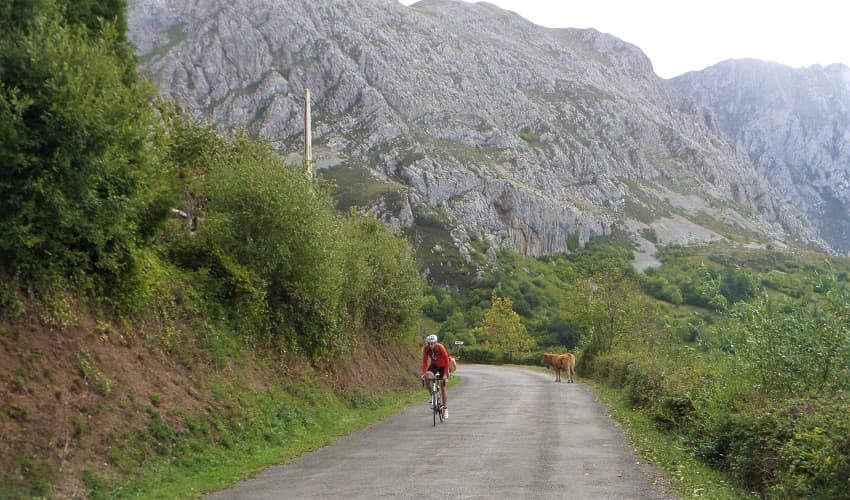 Puerto Marabio  -  Asturias Cycling Climb