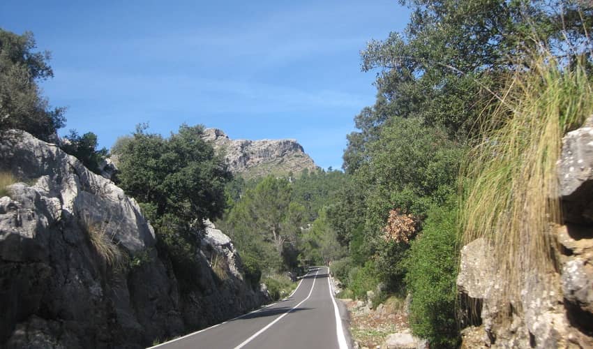 Coll de Femenia - Mallorca Cycling Climb